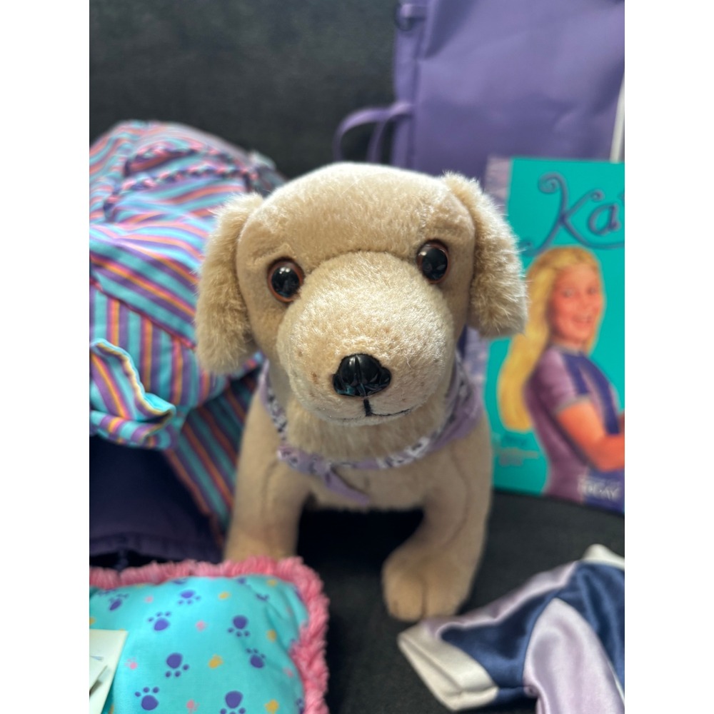 American Girl Kailey Hopkins Accessories Set Boogie Board Dog Bed Wetsuit Book - Picture 2 of 11